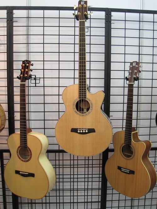 Ayers多款手工吉他产品亮相2010北京国际乐器展